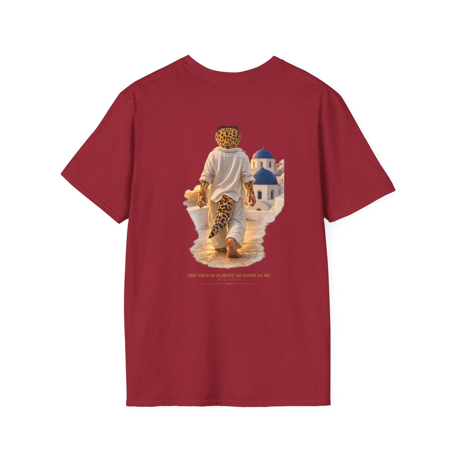 Col1134-4-V1-TS-CC6500-Terrace-Leopard-GoldGeckoCo