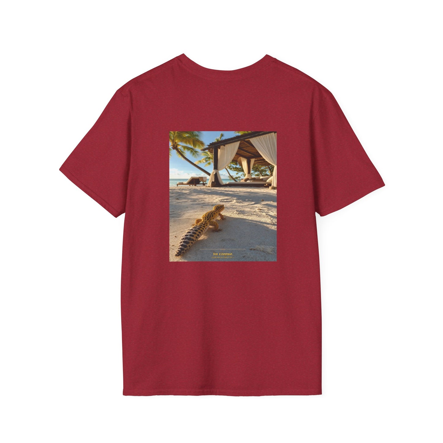 Col1108-19-V5-TS-CC6500-YaLlegué-Leopard-GoldGeckoCo