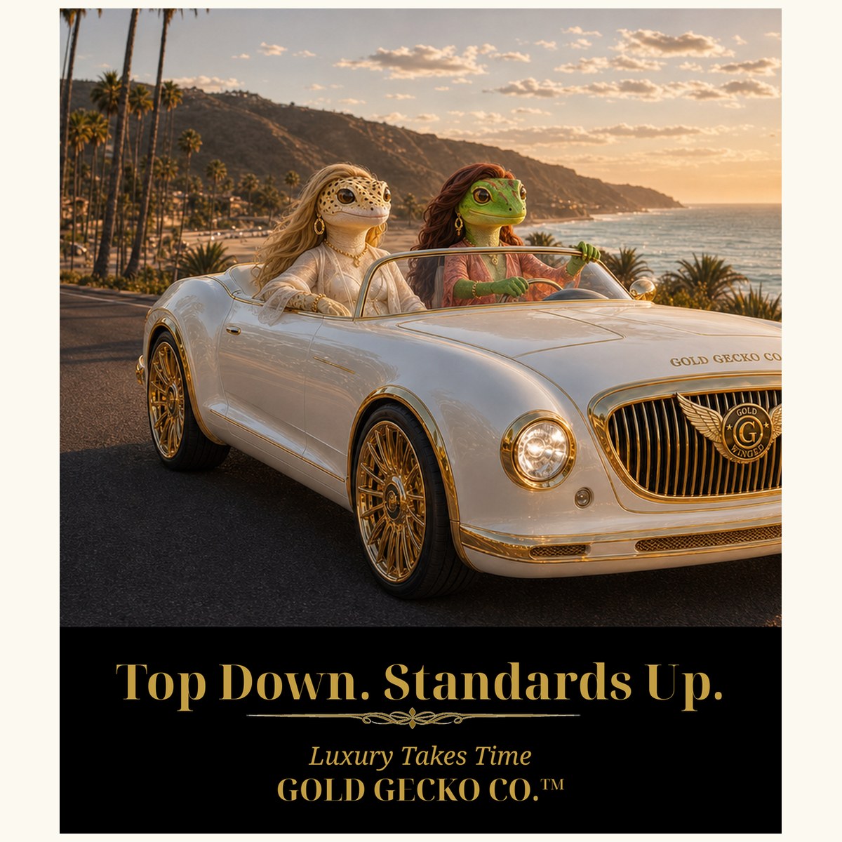Luxury Car Collection — Col1142