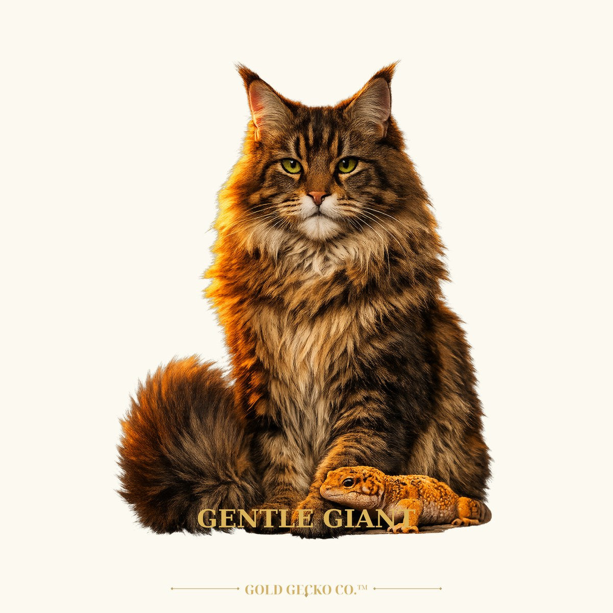 Cats & Geckos — Col1230