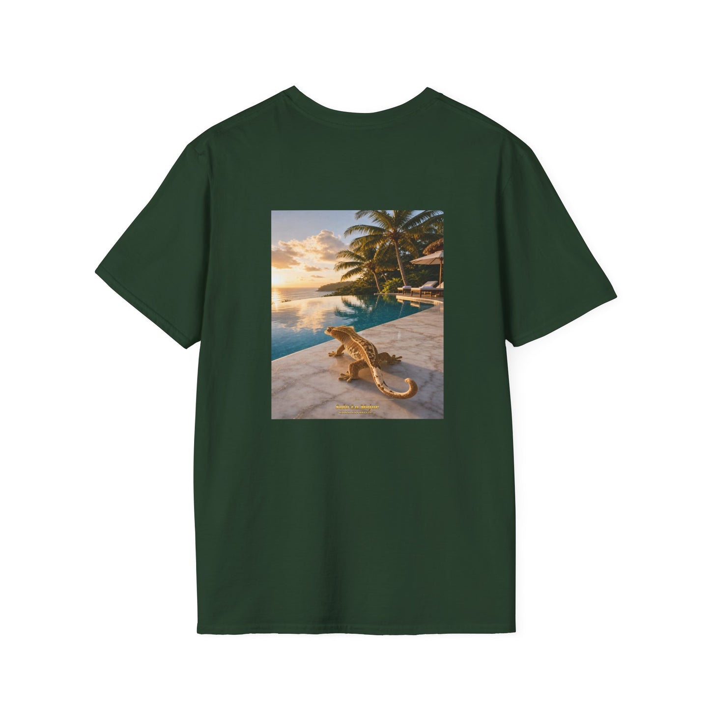 Col1108-17-V2-TS-CC6500-SoloLoMejor-Crested-GoldGeckoCo