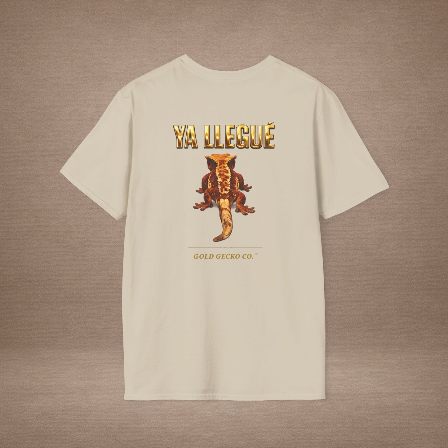 Design #col15-5 - Ya Llegue - Expansion (with Back)- Spanish Expansion