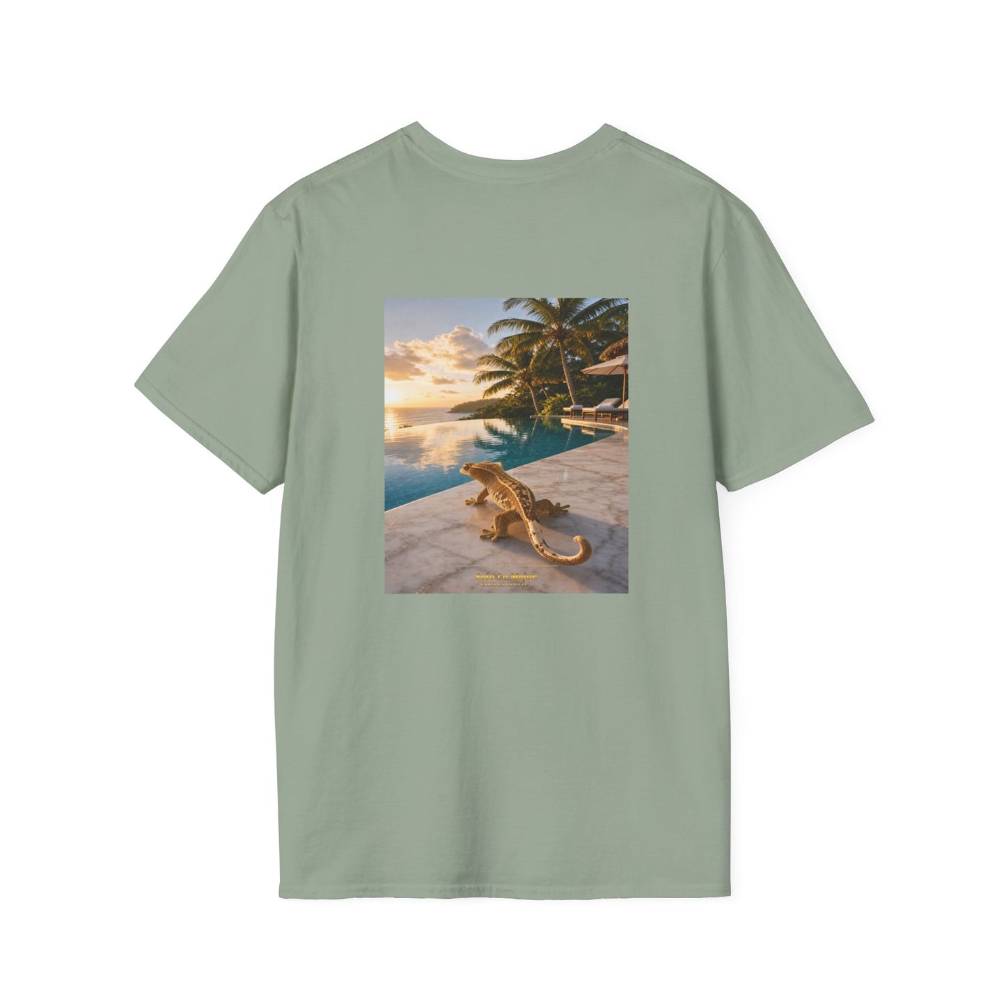 Col1108-17-V2-TS-CC6500-SoloLoMejor-Crested-GoldGeckoCo