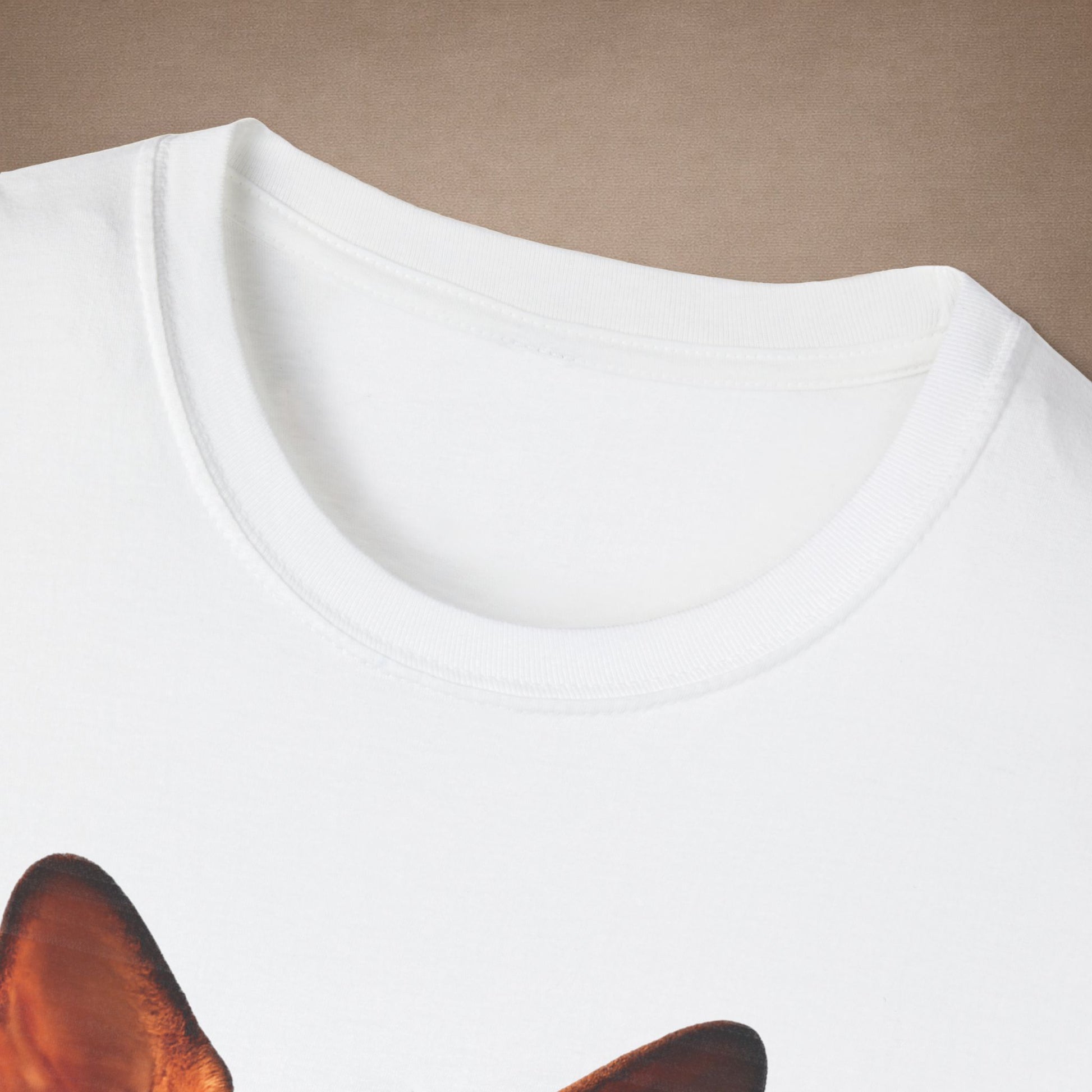 Sphynx — Bold And Beautiful — photoreal cat breed portraits paired with tiny gecko compani. Gold Gecko Co. Cats & Geckos collection.