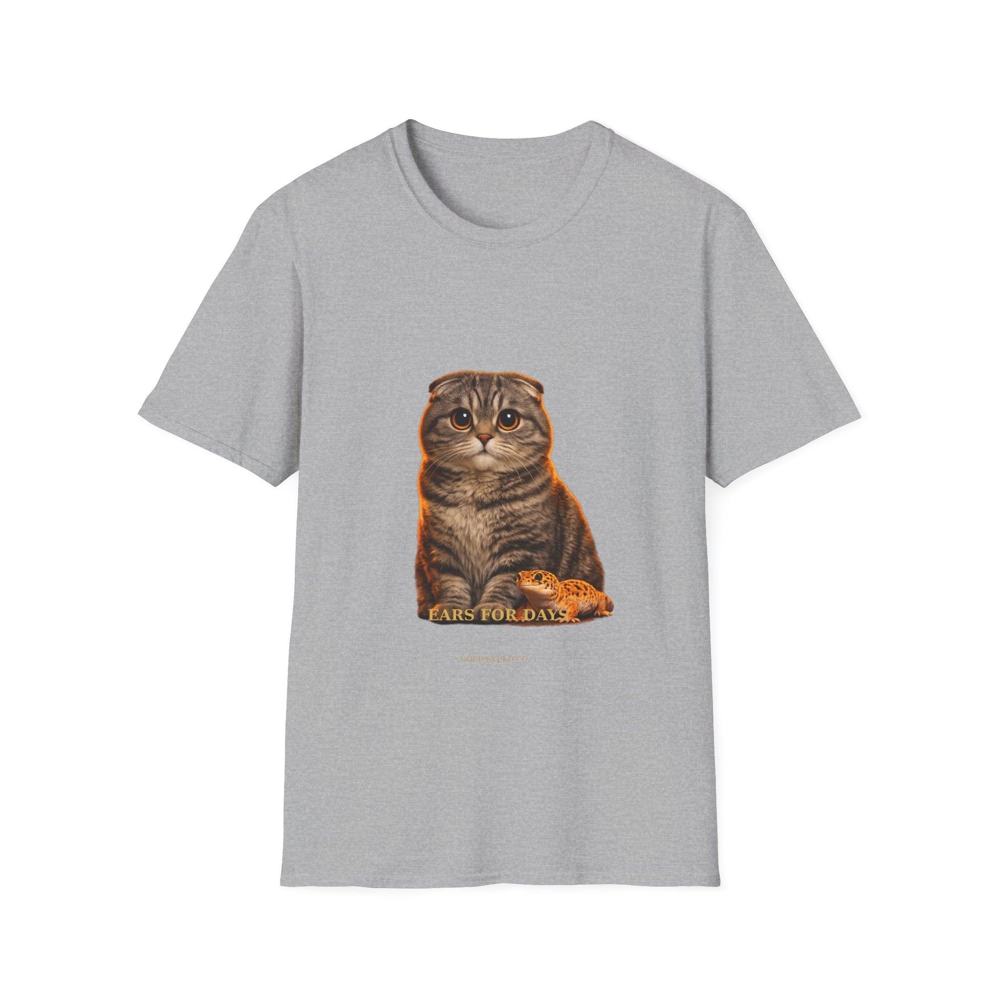 Scottish Fold — Ears For Days — photoreal cat breed portraits paired with tiny gecko compani. Gold Gecko Co. Cats & Geckos collection.