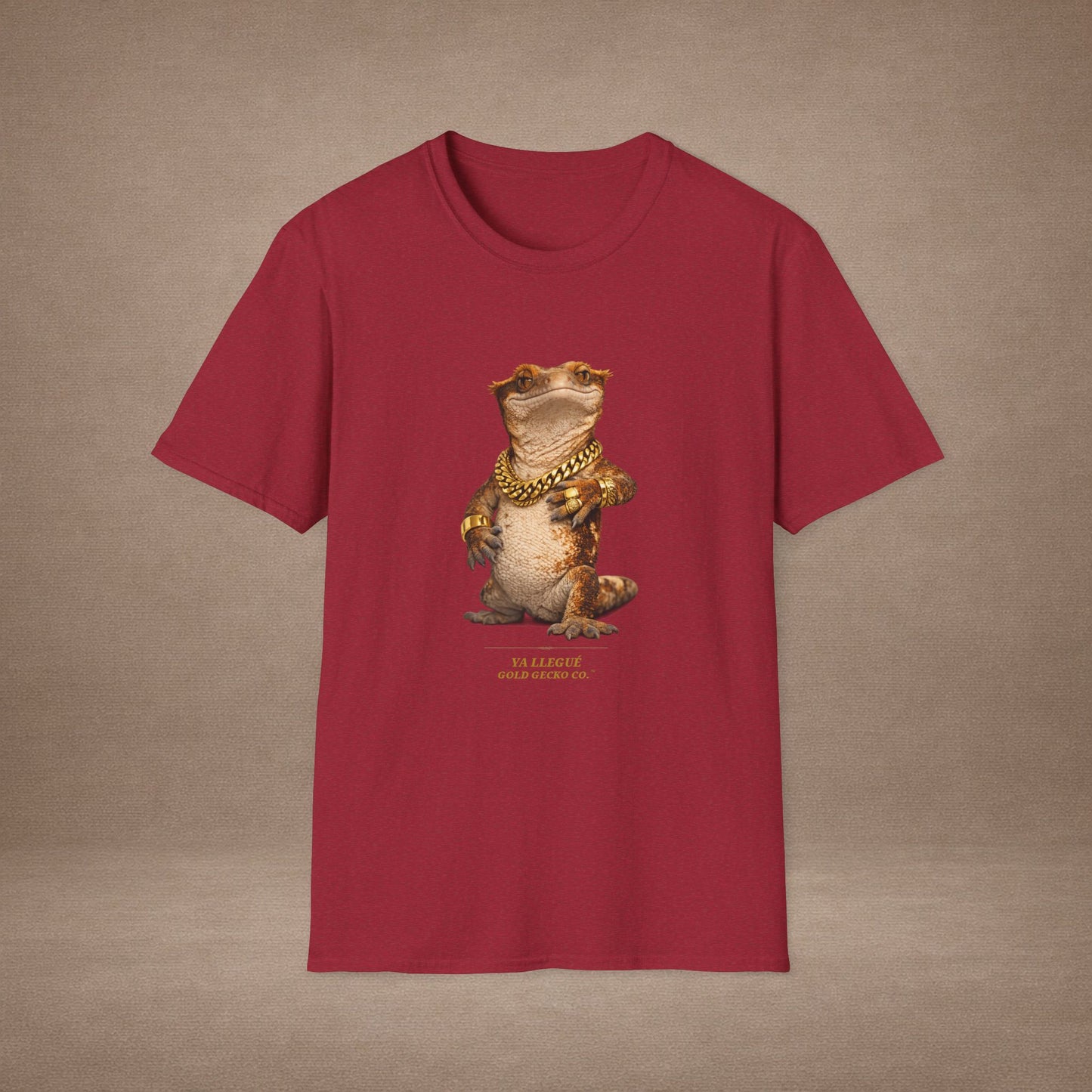 Design #col15-5 - Ya Llegue - Expansion (with Back)- Spanish Expansion