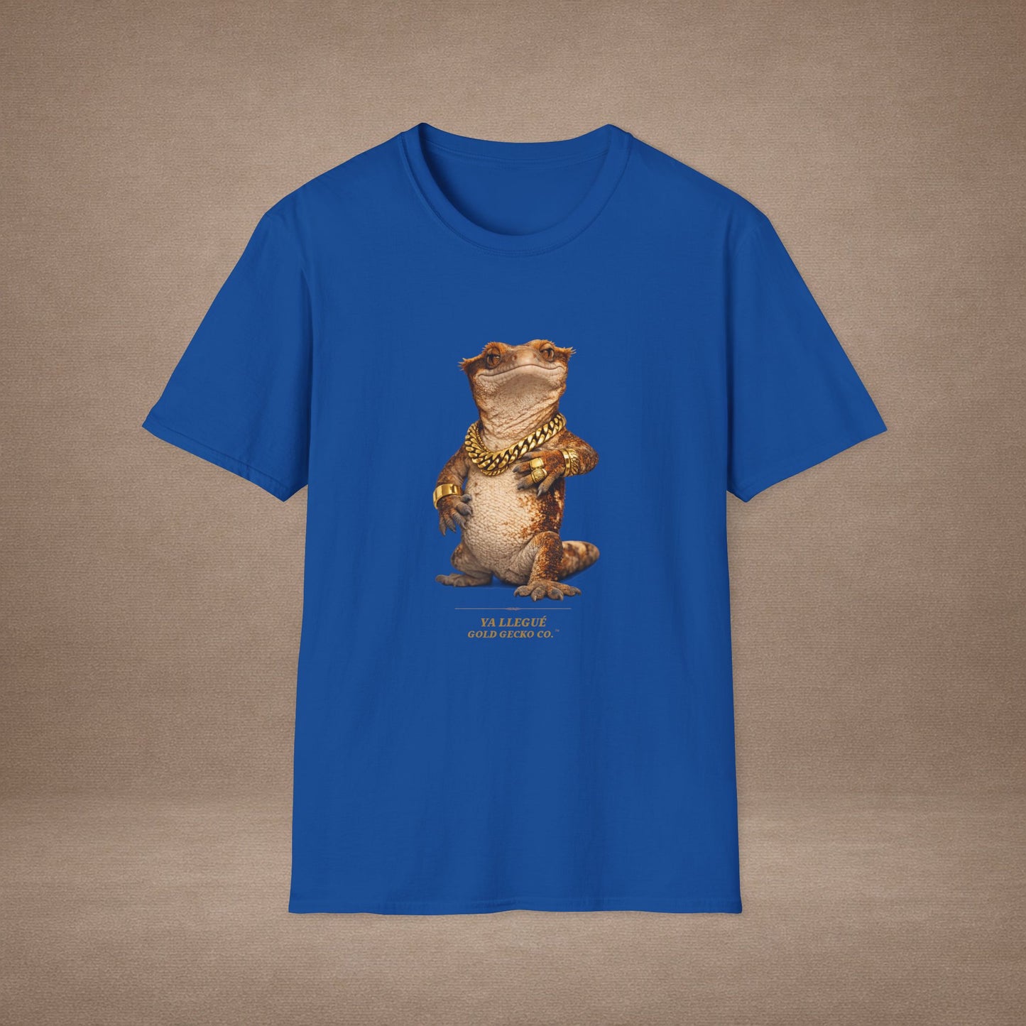 Design #col15-5 - Ya Llegue - Expansion (with Back)- Spanish Expansion