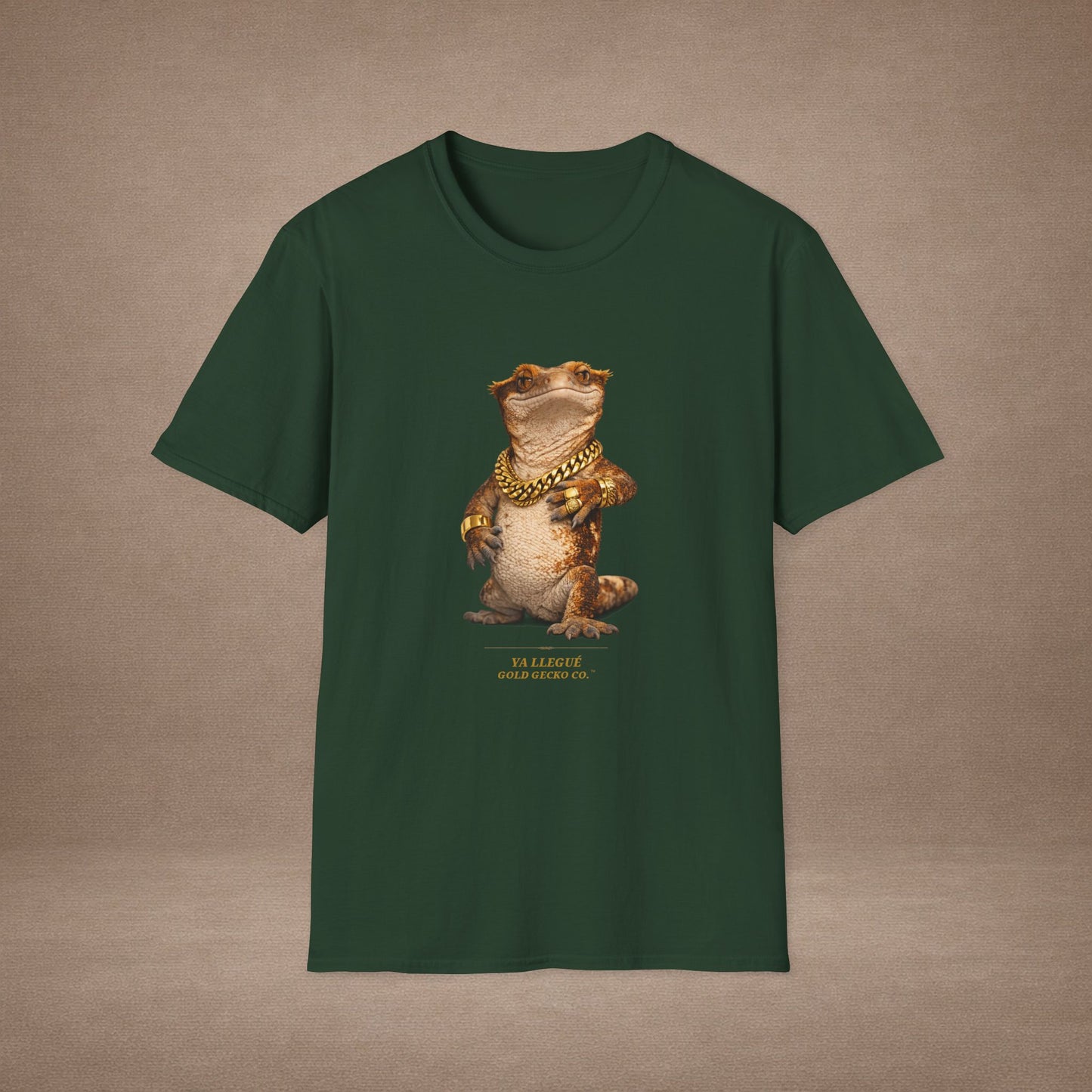 Design #col15-5 - Ya Llegue - Expansion (with Back)- Spanish Expansion