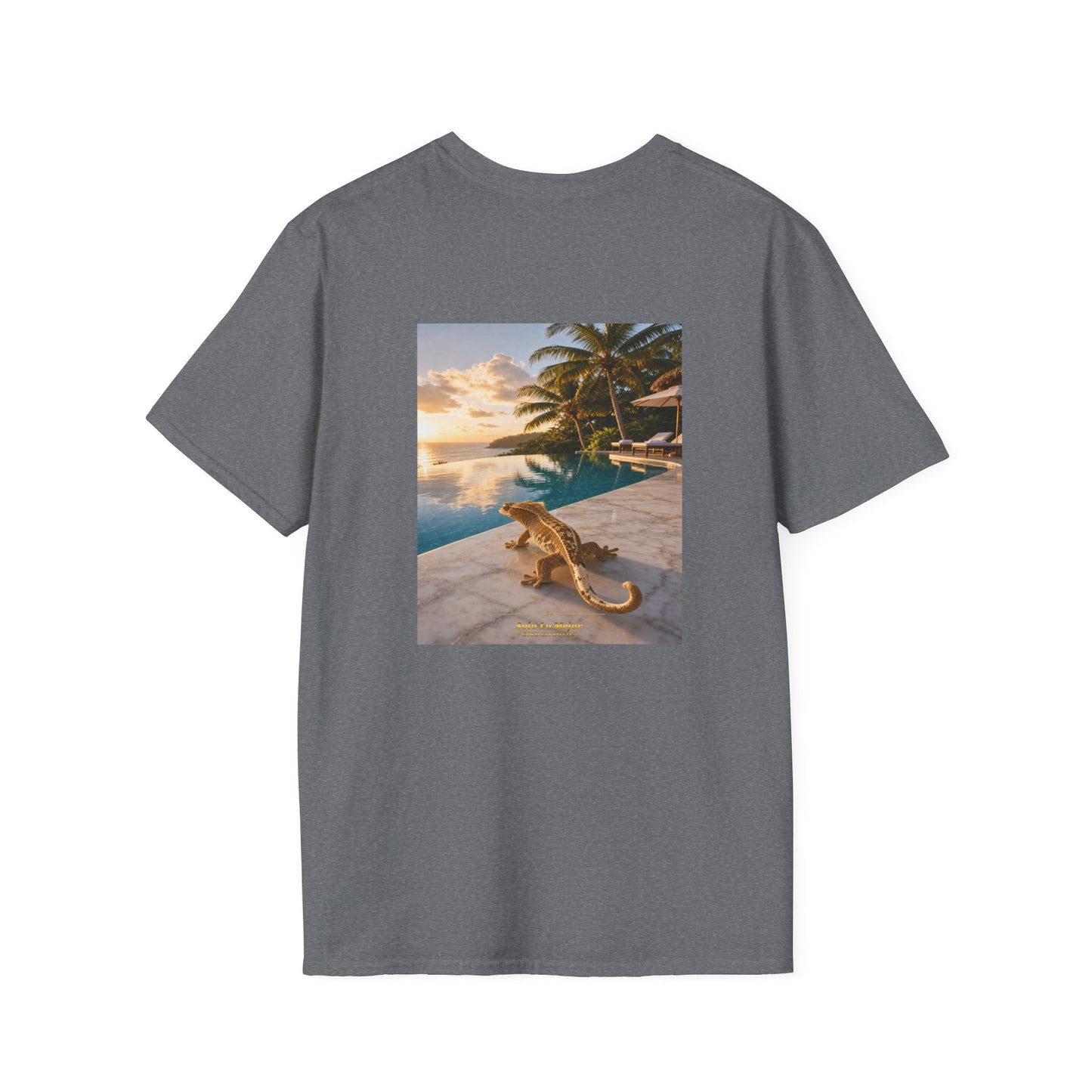 Col1108-17-V2-TS-CC6500-SoloLoMejor-Crested-GoldGeckoCo