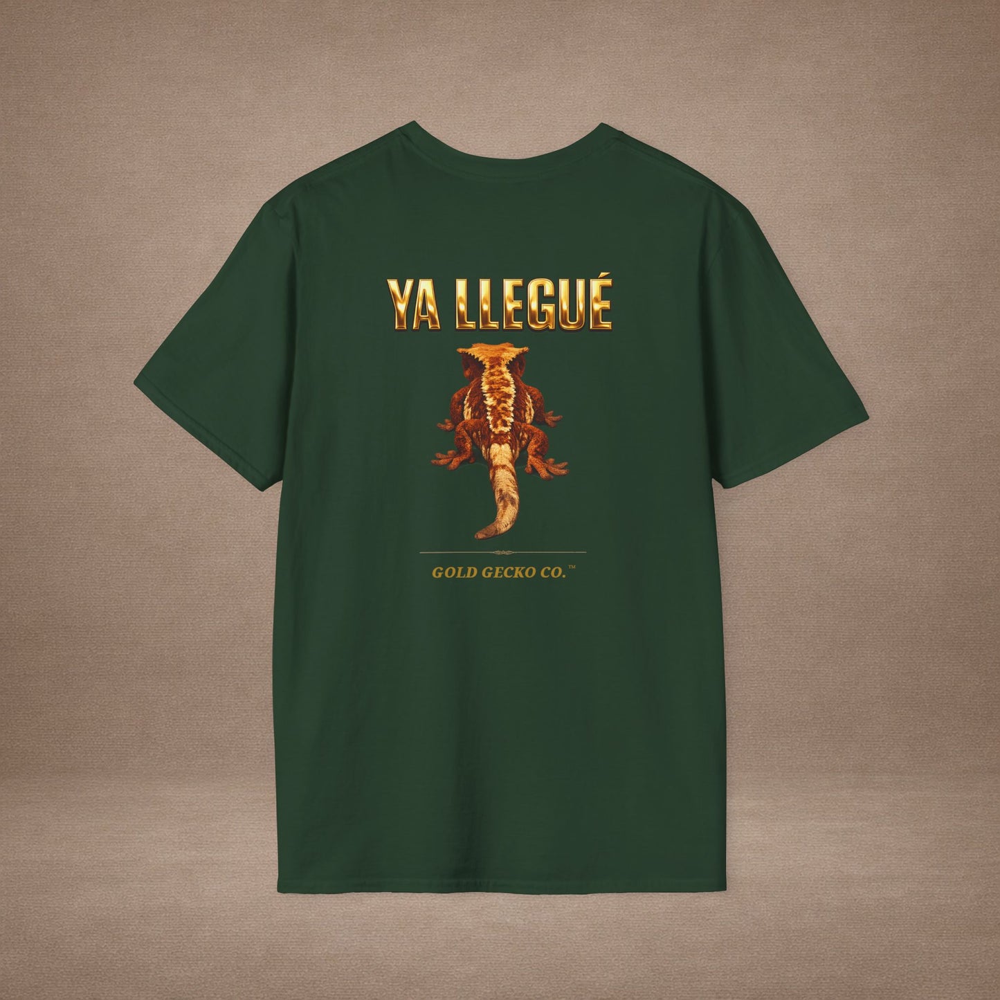Design #col15-5 - Ya Llegue - Expansion (with Back)- Spanish Expansion