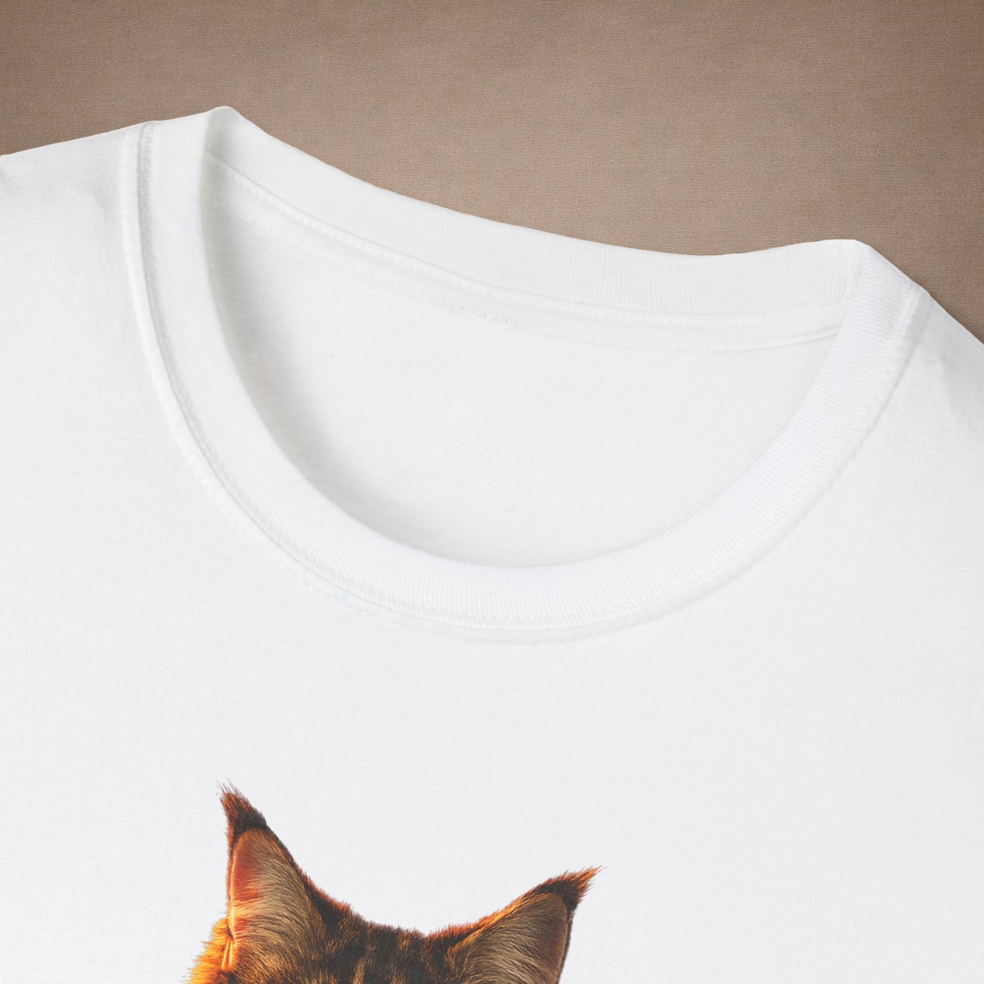 Maine Coon — Gentle Giant — photoreal cat breed portraits paired with tiny gecko compani. Gold Gecko Co. Cats & Geckos collection.