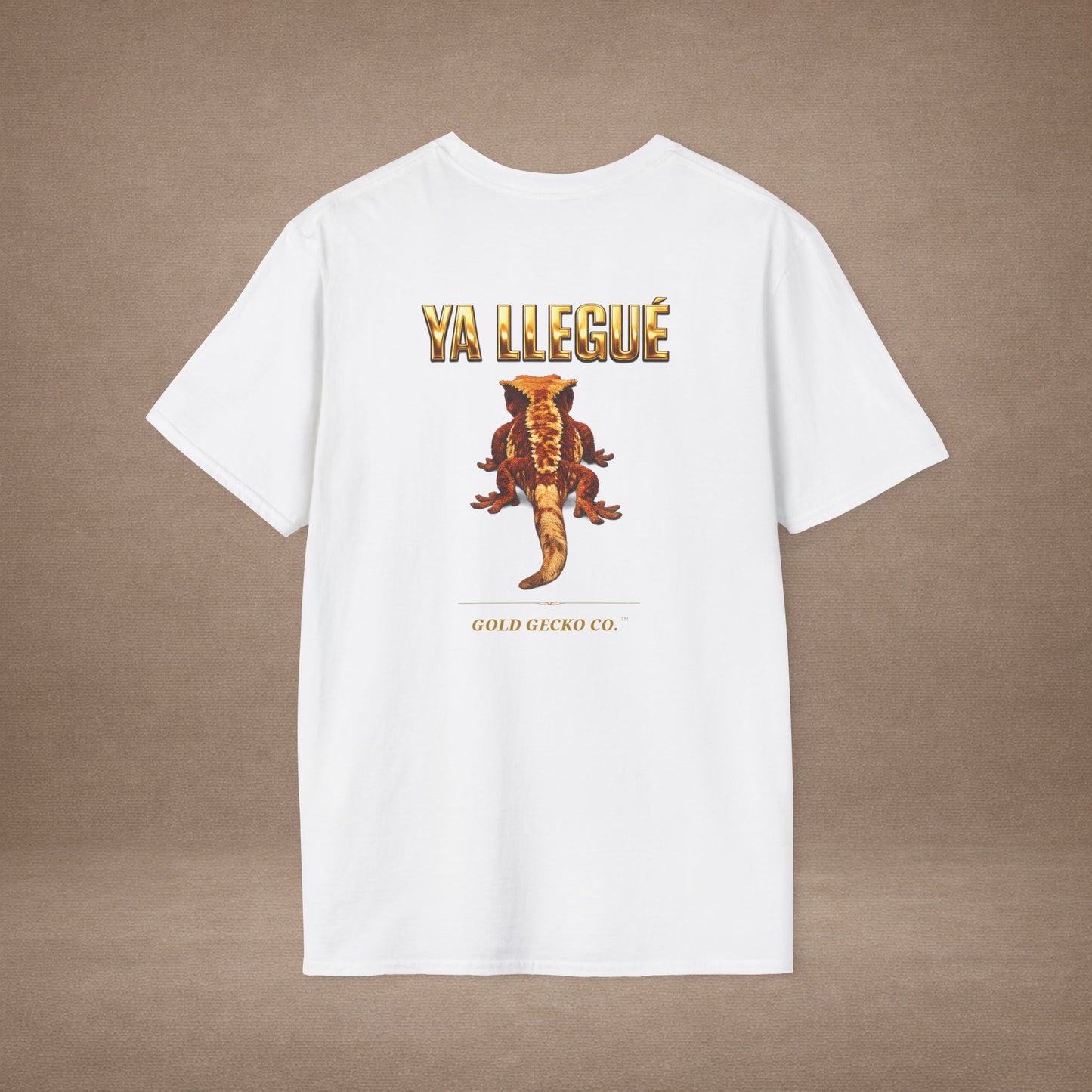 Design #col15-5 - Ya Llegue - Expansion (with Back)- Spanish Expansion