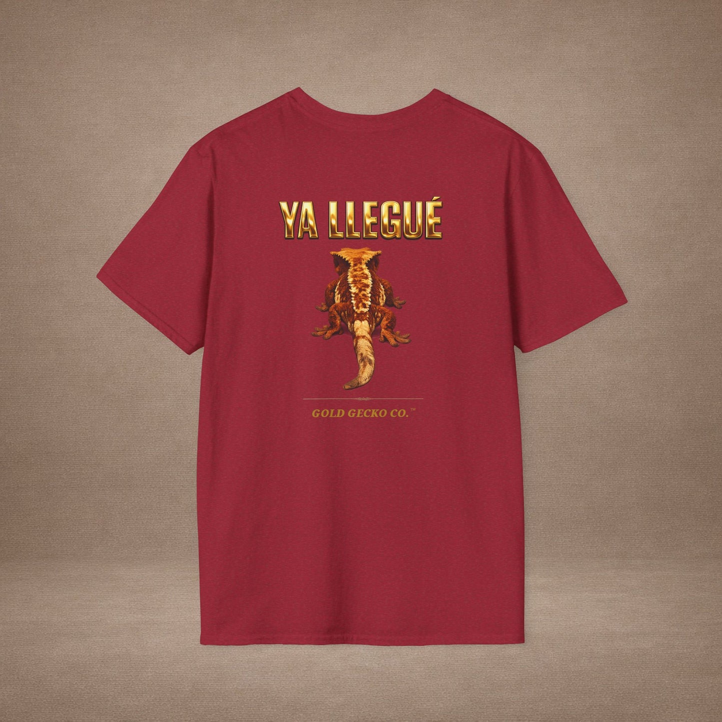 Design #col15-5 - Ya Llegue - Expansion (with Back)- Spanish Expansion