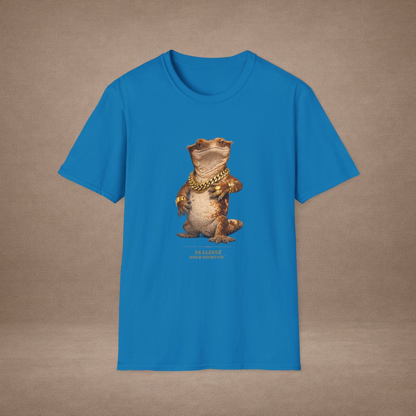 Design #col15-5 - Ya Llegue - Expansion (with Back)- Spanish Expansion