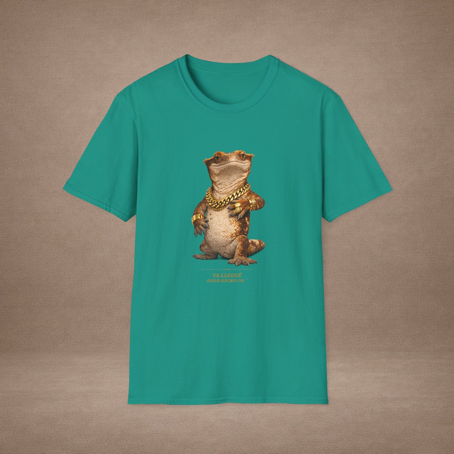 Design #col15-5 - Ya Llegue - Expansion (with Back)- Spanish Expansion