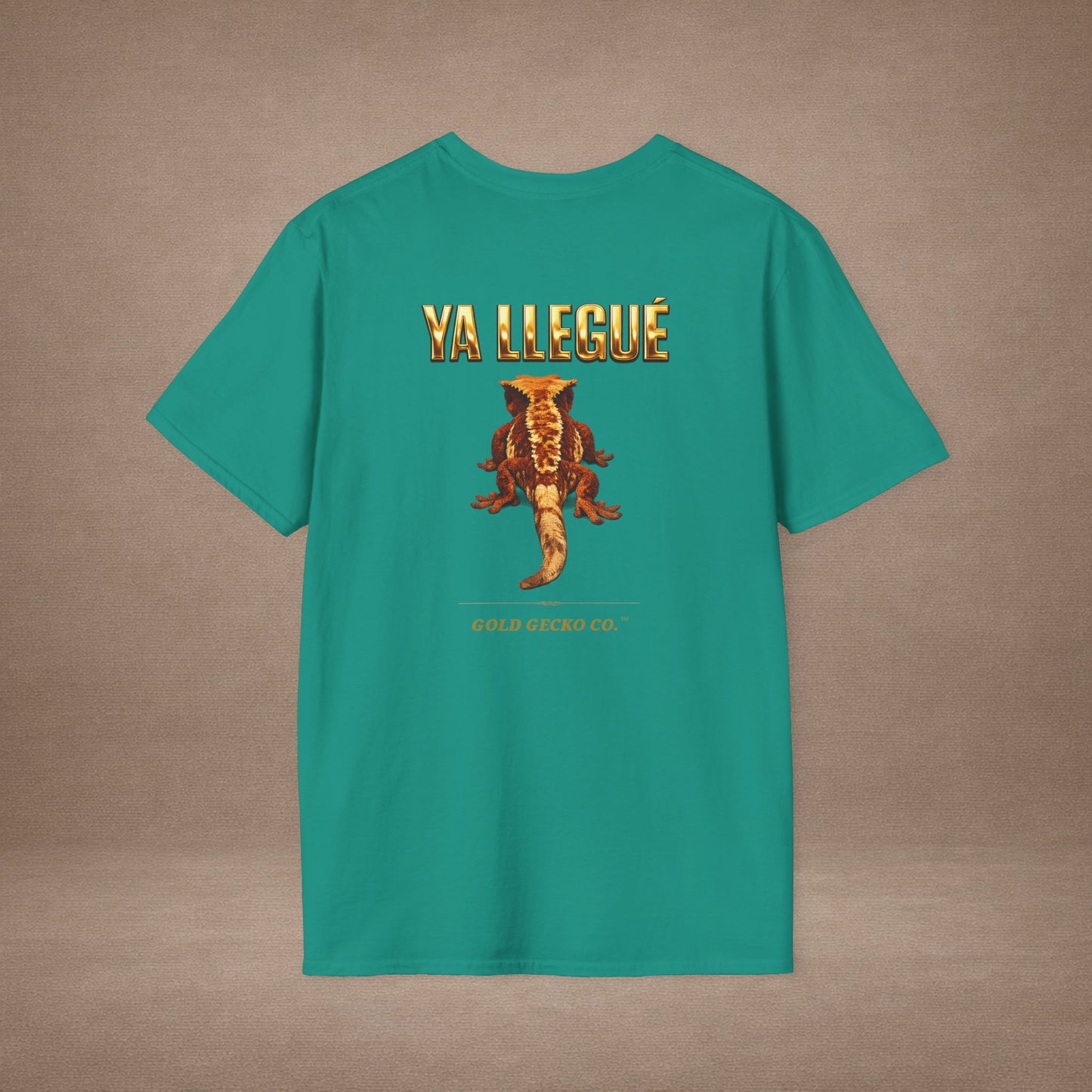 Design #col15-5 - Ya Llegue - Expansion (with Back)- Spanish Expansion