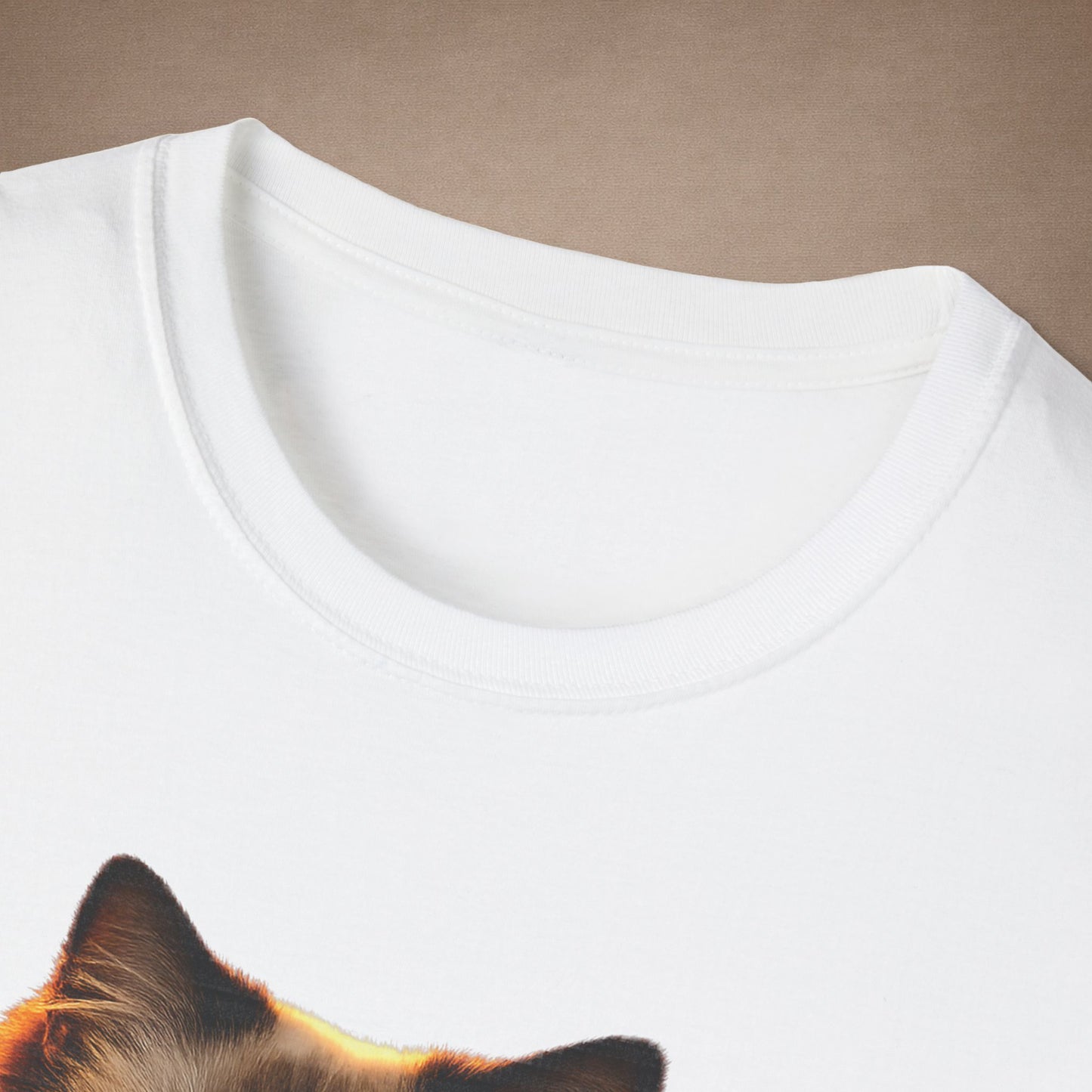 Ragdoll — Lap Of Luxury — photoreal cat breed portraits paired with tiny gecko compani. Gold Gecko Co. Cats & Geckos collection.